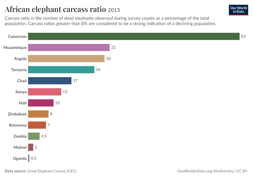 African elephant carcass ratio